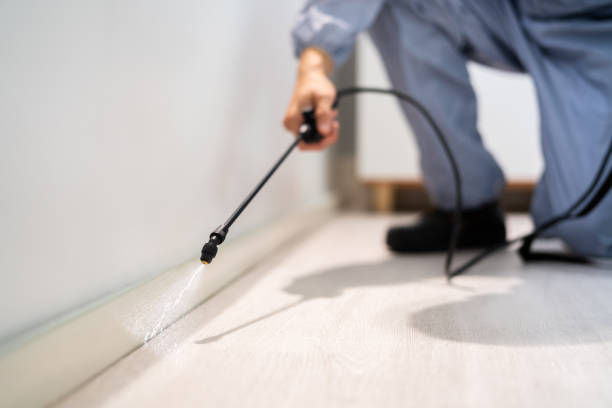 Licensed Mosquito Control service in Brooksville, MS - Show Me Pest Control
