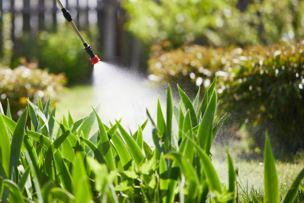 24/7 Emergency Mosquito Control experts in Brooksville, MS