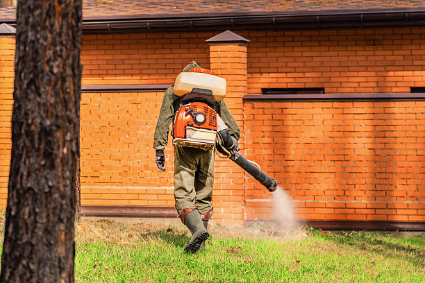 Top rated local Mosquito Control specialists in Brooksville, MS